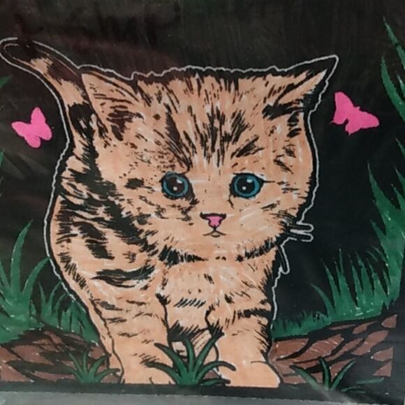 cat Other - Small color of a cat